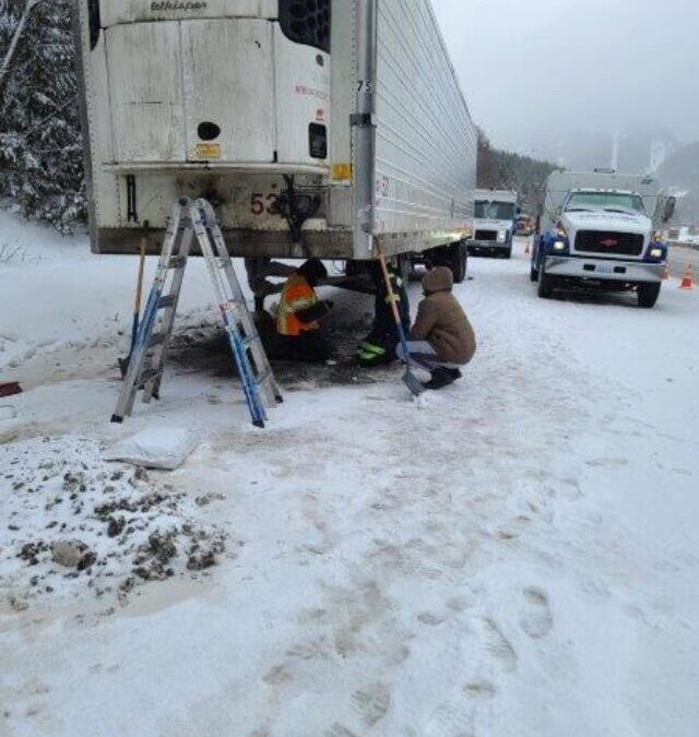 Fixing Reefers and Saving Cargo